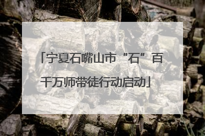 宁夏石嘴山市“石”百千万师带徒行动启动