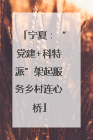 宁夏：“党建+科特派”架起服务乡村连心桥