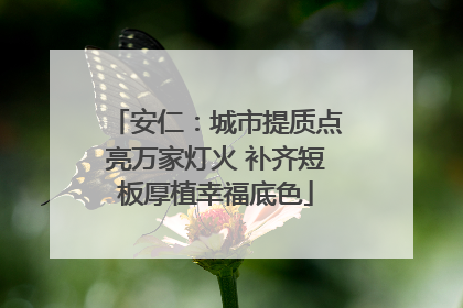 安仁：城市提质点亮万家灯火 补齐短板厚植幸福底色