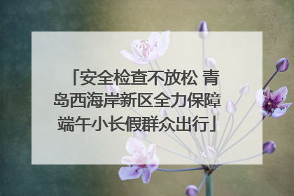 安全检查不放松 青岛西海岸新区全力保障端午小长假群众出行