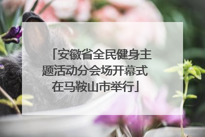 安徽省全民健身主题活动分会场开幕式在马鞍山市举行