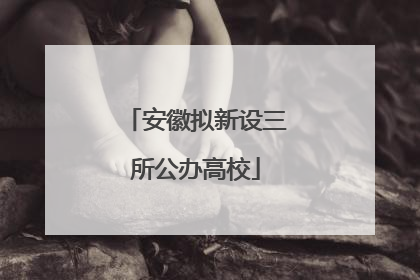 安徽拟新设三所公办高校