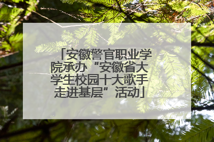 安徽警官职业学院承办“安徽省大学生校园十大歌手走进基层”活动