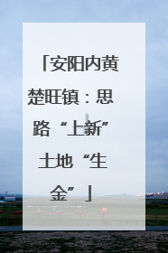 安阳内黄楚旺镇：思路“上新” 土地“生金”