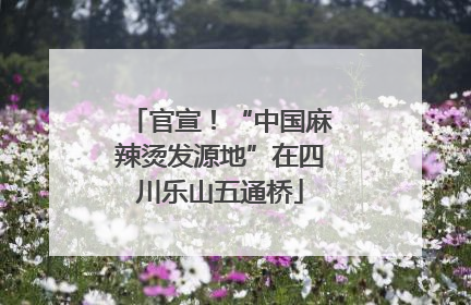 官宣！“中国麻辣烫发源地”在四川乐山五通桥
