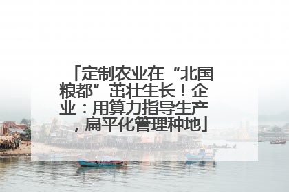 定制农业在“北国粮都”茁壮生长！企业：用算力指导生产，扁平化管理种地