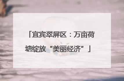 宜宾翠屏区：万亩荷塘绽放“美丽经济”