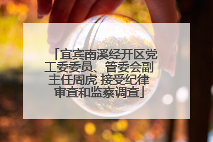 宜宾南溪经开区党工委委员、管委会副主任周虎 接受纪律审查和监察调查
