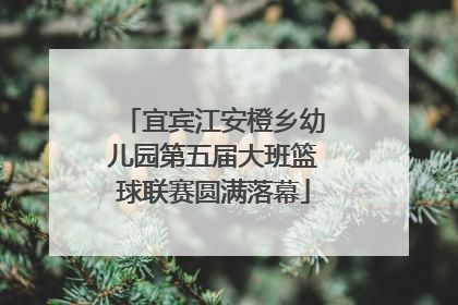 宜宾江安橙乡幼儿园第五届大班篮球联赛圆满落幕