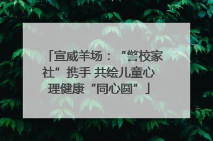 宣威羊场：“警校家社”携手 共绘儿童心理健康“同心圆”