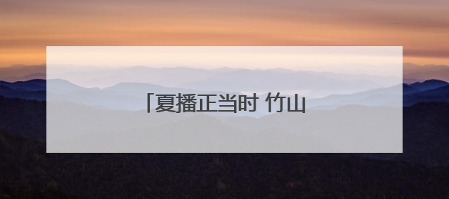夏播正当时 竹山县抢抓农时保秋收