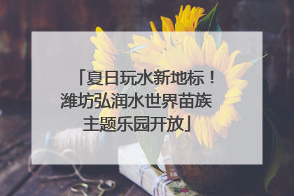 夏日玩水新地标！潍坊弘润水世界苗族主题乐园开放