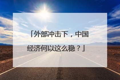 外部冲击下，中国经济何以这么稳？