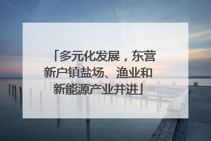 多元化发展，东营新户镇盐场、渔业和新能源产业并进