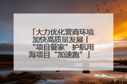 大力优化营商环境 加快高质量发展丨“项目管家”护航用海项目“加速跑”