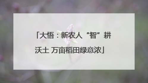 大悟：新农人“智”耕沃土 万亩稻田绿意浓