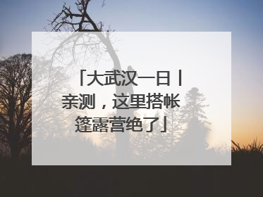 大武汉一日丨亲测，这里搭帐篷露营绝了