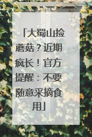 大蜀山捡蘑菇？近期疯长！官方提醒：不要随意采摘食用