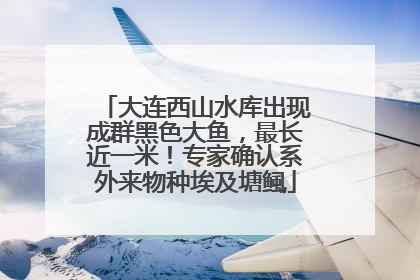 大连西山水库出现成群黑色大鱼，最长近一米！专家确认系外来物种埃及塘鲺