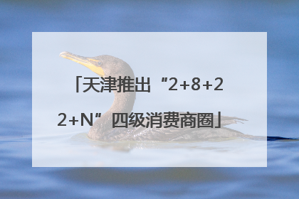 天津推出“2+8+22+N”四级消费商圈
