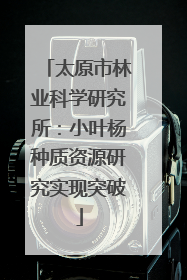 太原市林业科学研究所：小叶杨种质资源研究实现突破