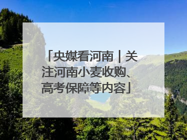 央媒看河南｜关注河南小麦收购、高考保障等内容