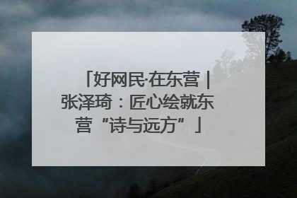 好网民·在东营｜张泽琦：匠心绘就东营“诗与远方”