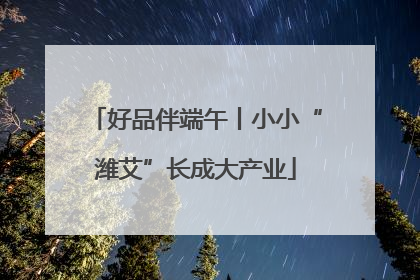 好品伴端午丨小小“潍艾”长成大产业