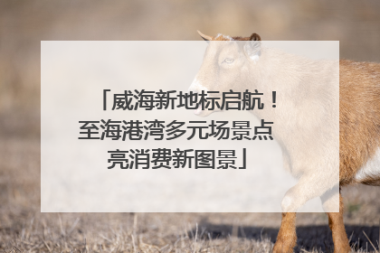 威海新地标启航！至海港湾多元场景点亮消费新图景