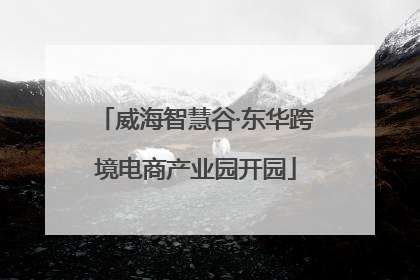 威海智慧谷·东华跨境电商产业园开园