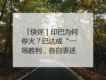 快评｜印巴为何停火？已达成“一场胜利，各自表述”的效果