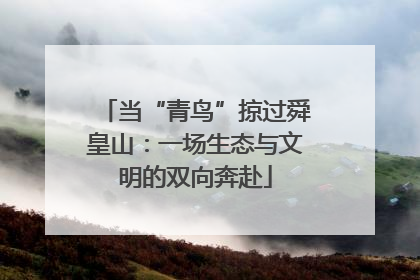 当“青鸟”掠过舜皇山：一场生态与文明的双向奔赴