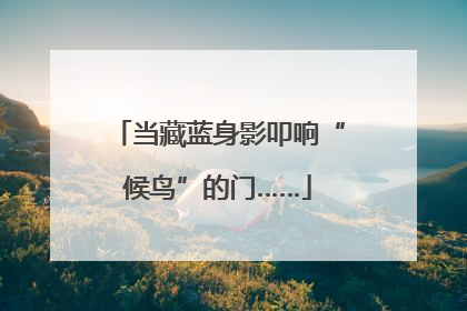 当藏蓝身影叩响“候鸟”的门……
