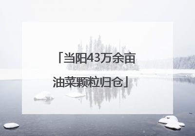 当阳43万余亩油菜颗粒归仓
