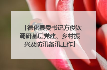 德化县委书记方俊钦调研基层党建、乡村振兴及防汛备汛工作