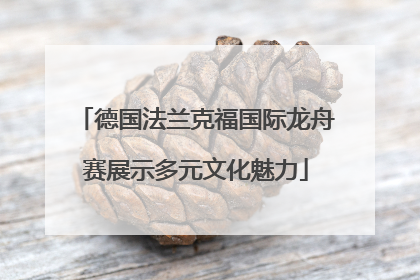 德国法兰克福国际龙舟赛展示多元文化魅力