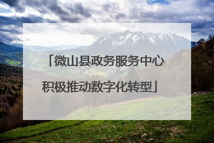 微山县政务服务中心积极推动数字化转型