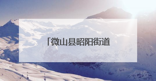 微山县昭阳街道第一书记工作队助力“三夏”防火