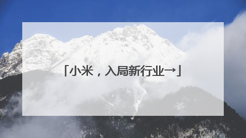 小米，入局新行业→