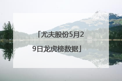 尤夫股份5月29日龙虎榜数据