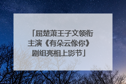 屈楚萧王子文领衔主演《有朵云像你》剧组亮相上影节