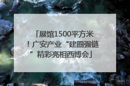 展馆1500平方米！广安产业“建圈强链”精彩亮相西博会