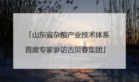 山东省杂粮产业技术体系首席专家参访古贝春集团