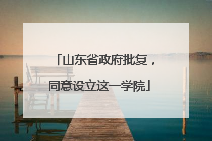 山东省政府批复，同意设立这一学院