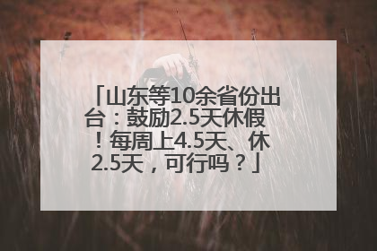 山东等10余省份出台：鼓励2.5天休假！每周上4.5天、休2.5天，可行吗？