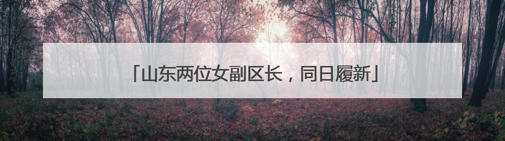 山东两位女副区长，同日履新