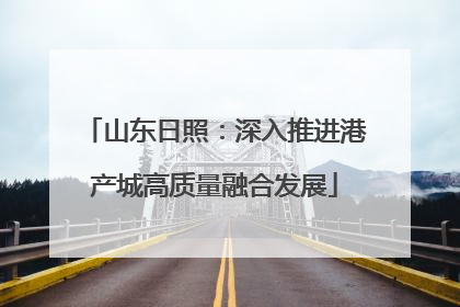 山东日照：深入推进港产城高质量融合发展