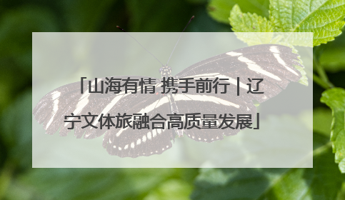 山海有情 携手前行｜辽宁文体旅融合高质量发展