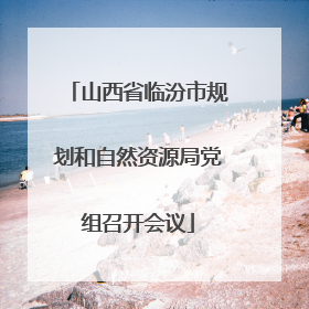 山西省临汾市规划和自然资源局党组召开会议