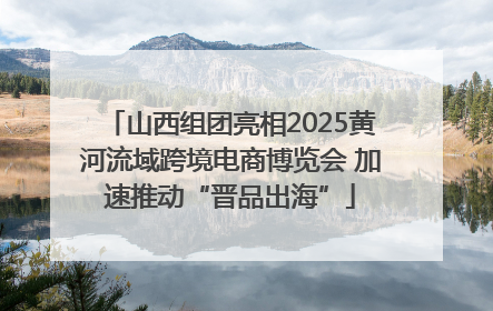 山西组团亮相2025黄河流域跨境电商博览会 加速推动“晋品出海”